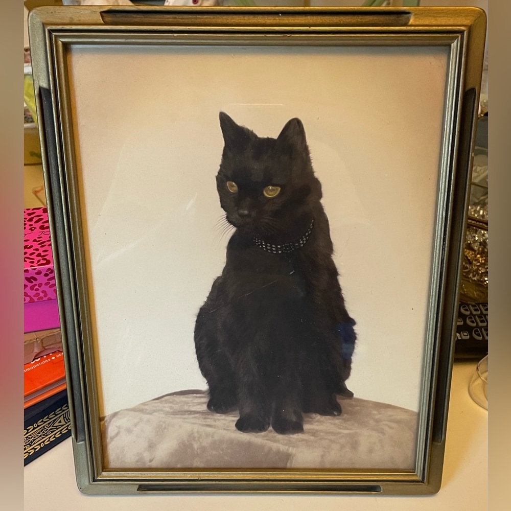 Vtg BLACK CAT Portrait Framed
